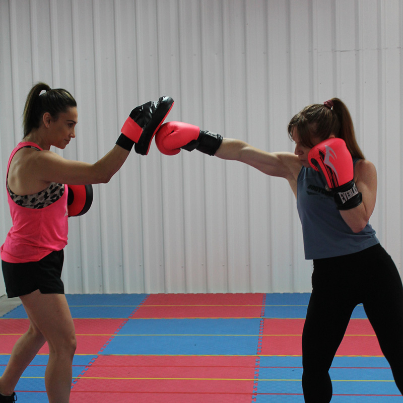 HRCC Trainers in boxing stance